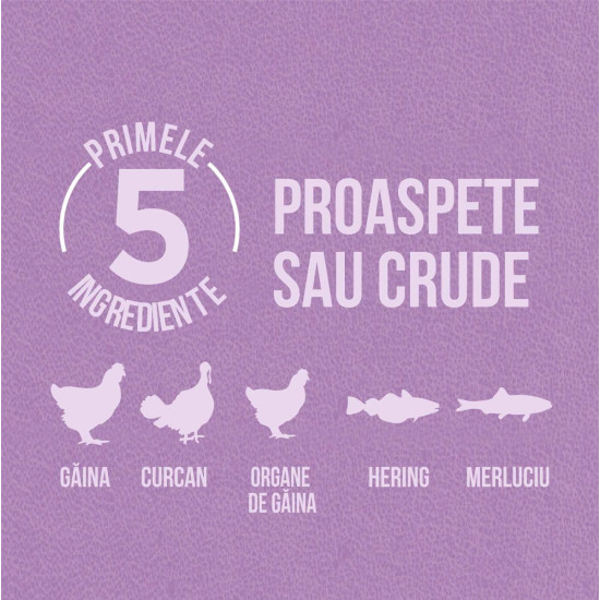 ORIJEN Puppy Large Breed – hrană uscată fără cereale pentru câini juniori de talie mare, cu pui și curcan, 11,4 kg